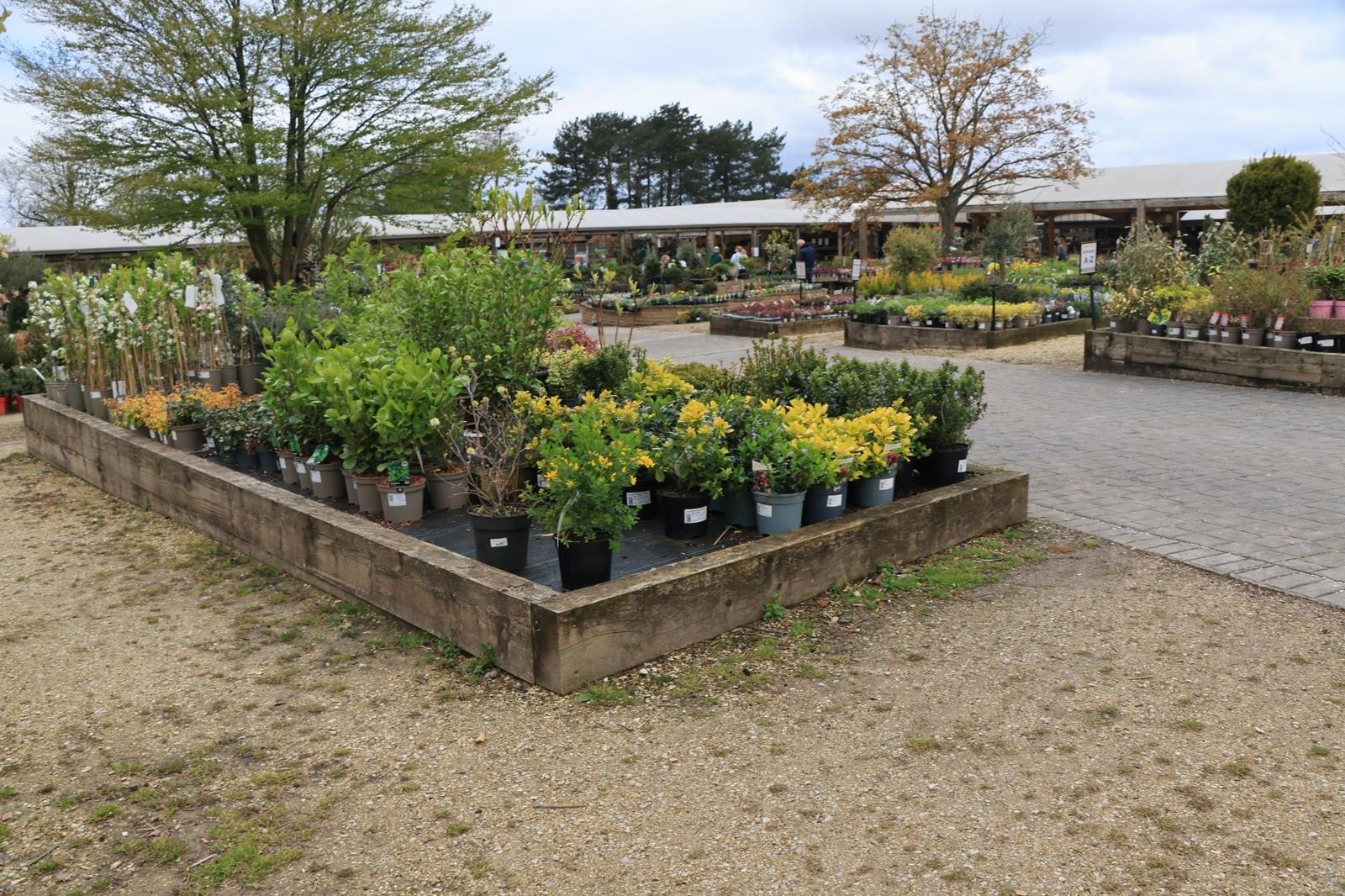 Garden Care and Maintenance