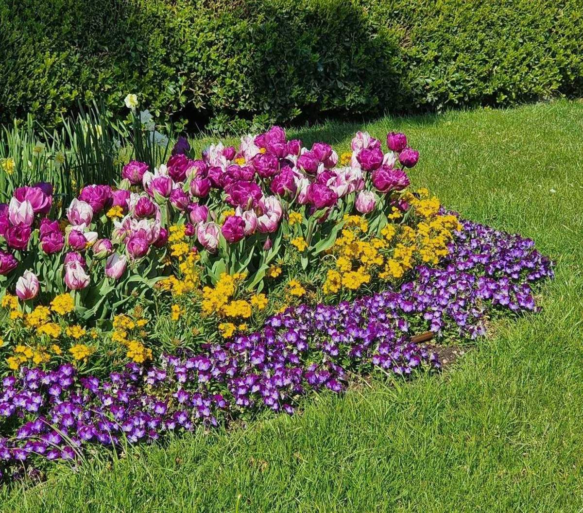 Planting and Garden Beds