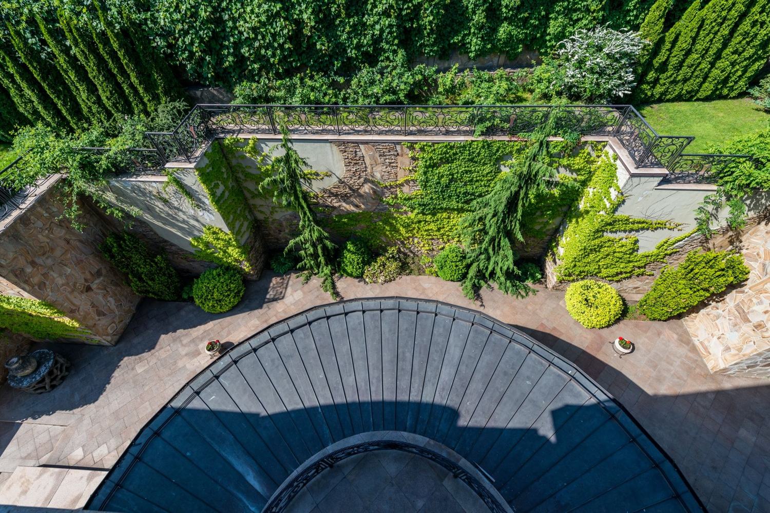 Formal courtyard garden